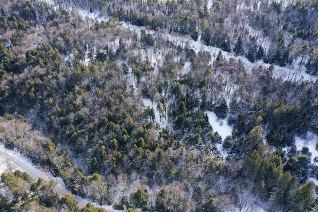 00 Barnard Rd, Home with 0 bedrooms, 0 bathrooms and null parking in Barnard VT | Image 7