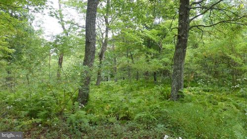 Lot 18 Top Of The Mountain Rd, MOOREFIELD, WV, 26836 | Card Image