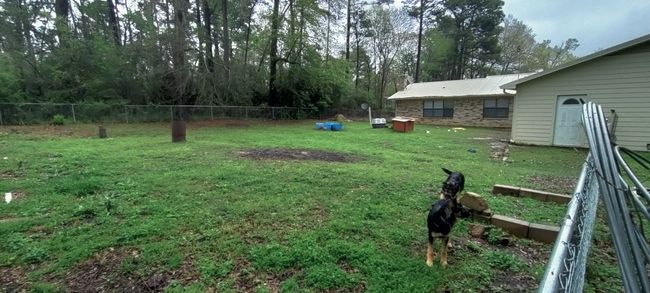 View of yard | Image 11