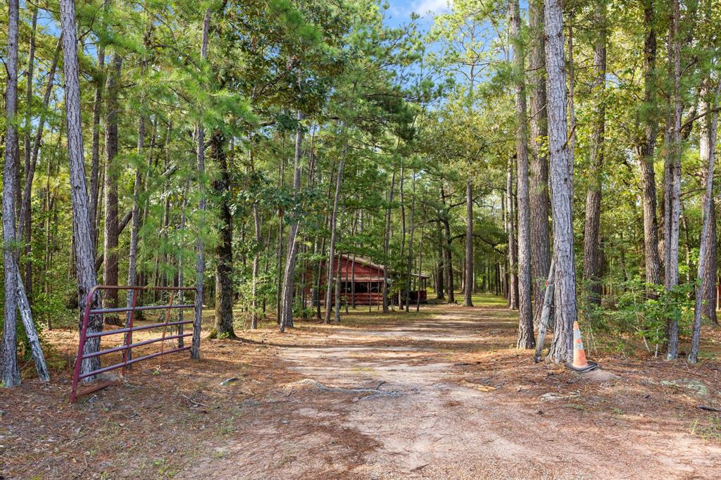 Hall Dr, Montgomery, TX 77316