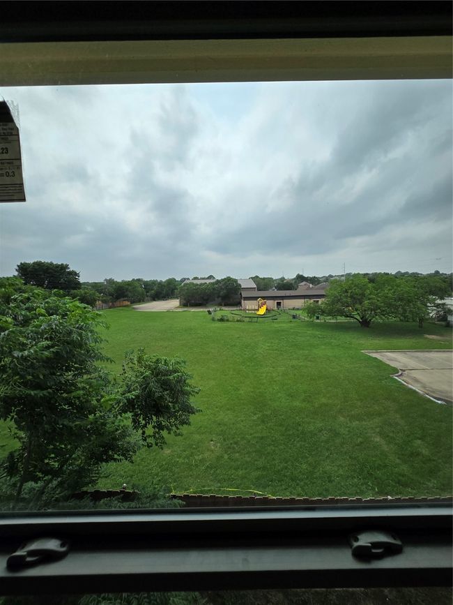 View of green lawn | Image 32
