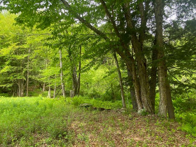 1254 Route 5, House other with 8 bedrooms, 1 bathrooms and null parking in Springfield VT | Image 10