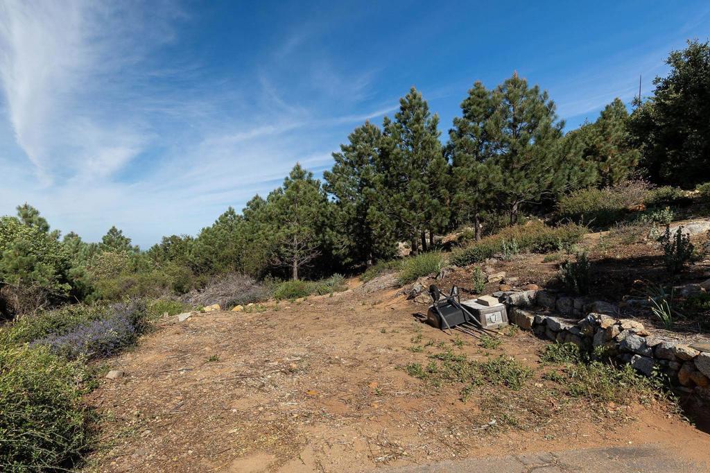 Land in Julian 5