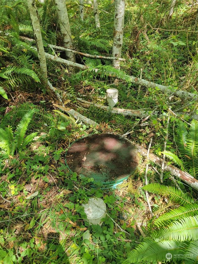 Installed Septic | Image 5