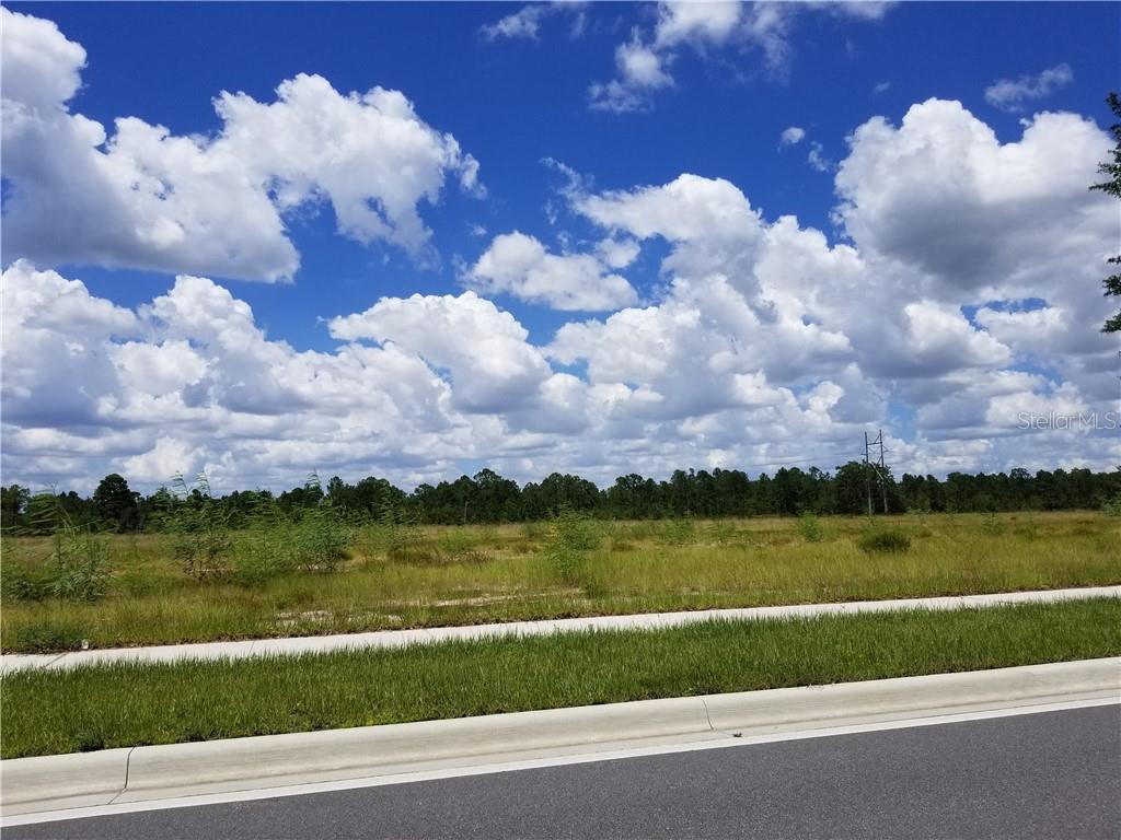 Land in ORLANDO 3