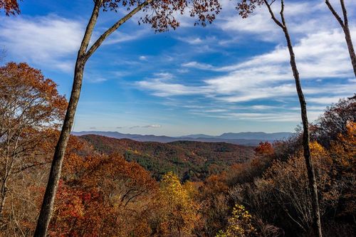 36 Utana Bluffs Trl, Ellijay, GA, 30540 | Card Image