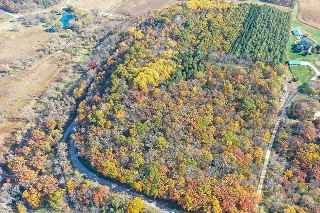 28.7 Acres Turkey Road, Home with 0 bedrooms, 0 bathrooms and null parking in BERRY WI | Image 14