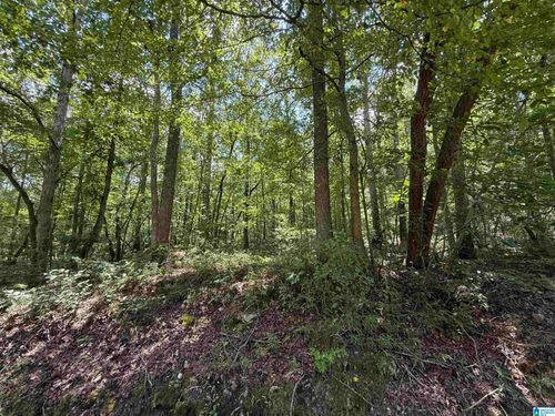 1-0 County Road 58, Wedowee, AL, 36278 | Card Image