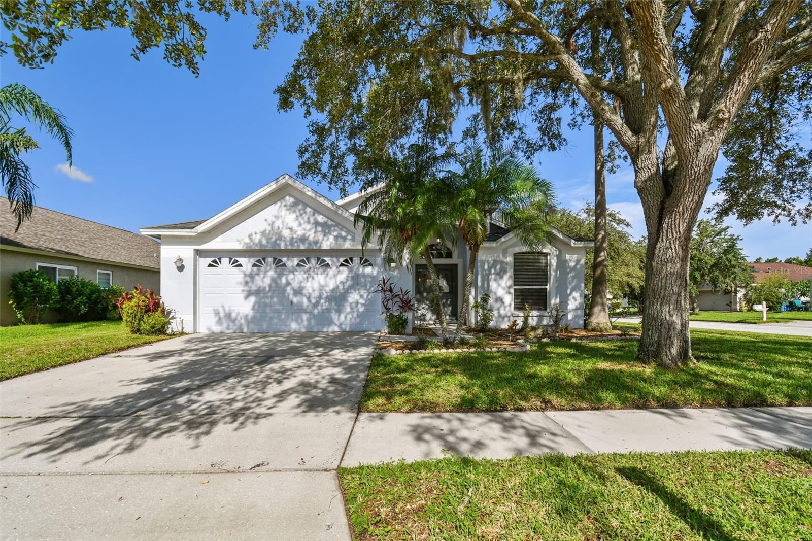 Morwen Pl, Wesley Chapel, FL 33543