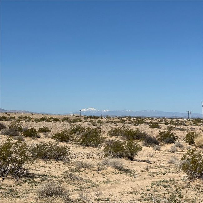 1234 Amboy Rd, Home with 0 bedrooms, 0 bathrooms and null parking in Twentynine Palms CA | Image 6