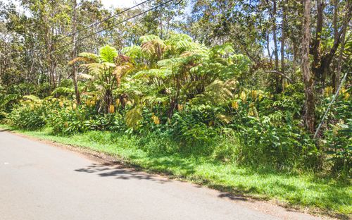 11-3878 10th St, VOLCANO, HI, 96785 | Card Image