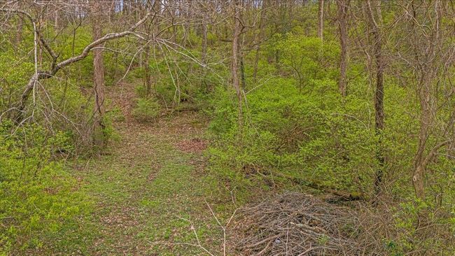 0 Kenesaw Dr, Home with 0 bedrooms, 0 bathrooms and null parking in Nashville TN | Image 16
