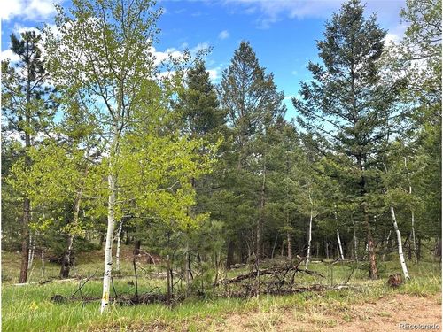 1845 Burland Dr, BAILEY, CO, 80421-1859 | Card Image