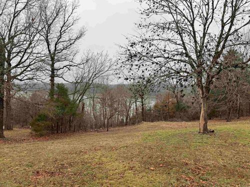 20725 Horseshoe Bend Rd, Lead Hill, AR, 72644-9698 | Card Image