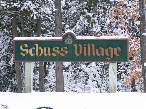 V/L 12 Schuss Mountain Drive, Custer Township, MI, 49615 | Card Image