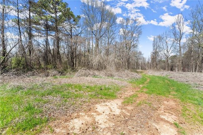 1515 Highway 60, Home with 0 bedrooms, 0 bathrooms and null parking in hoschton GA | Image 6