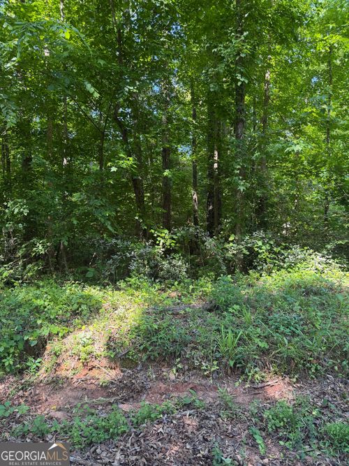POCAHONTAS STRE Pocahontas St, Jackson, GA, 30233 | Card Image