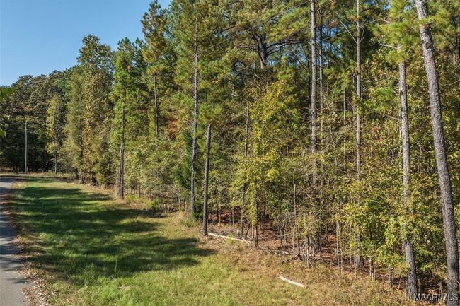 000 Randall Rd, Home with 0 bedrooms, 0 bathrooms and null parking in Cecil AL | Image 4