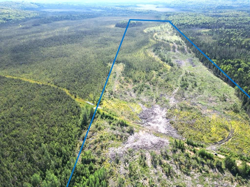 Land in Sainte-Anne-du-Lac 4