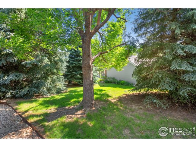 1274 Stoney Hill Dr, House other with 3 bedrooms, 3 bathrooms and null parking in Fort Collins CO | Image 39