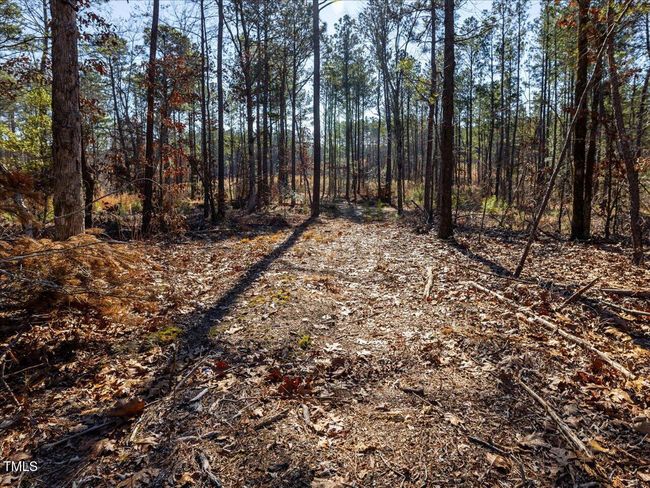 23-023-Tract2-RobedoRd-MontgomeryCounty- | Image 20