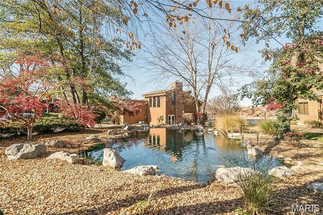 View of garden pond | Image 54