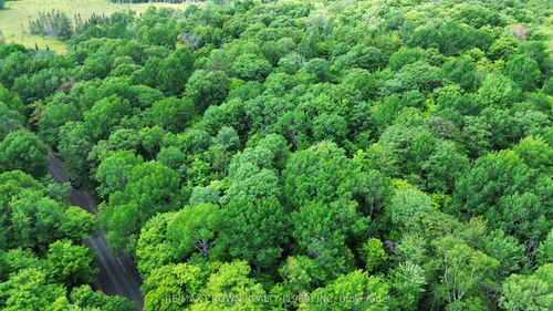 Part 2 3097 Fern Glen Rd, Emsdale, ON, P0A1J0 | Card Image