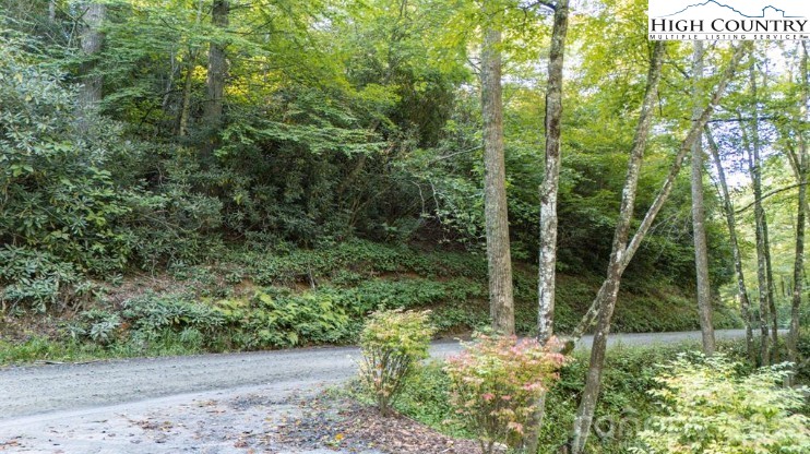 Land in Spruce Pine 5