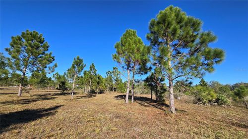 17718 Nw 266th St, Okeechobee, FL, 34972 | Card Image