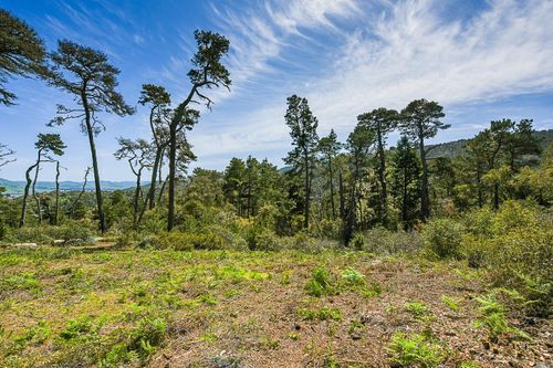 531 Via De La Vis, Inverness, CA, 94937 | Card Image