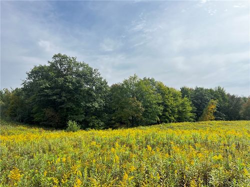 0 Old 14 Rd, Weyerhaeuser, WI, 54895 | Card Image