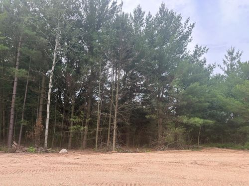 Lot 3 Blk 2 Brummer Drive, Randall, MN, 56475 | Card Image