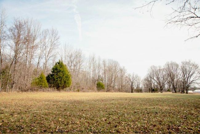 13300 Scottsville Rd, Home with 0 bedrooms, 0 bathrooms and null parking in Lucas KY | Image 7