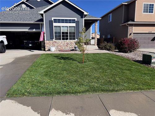 6237 Elk Bench Trail, Colorado Springs, CO, 80925 | Card Image