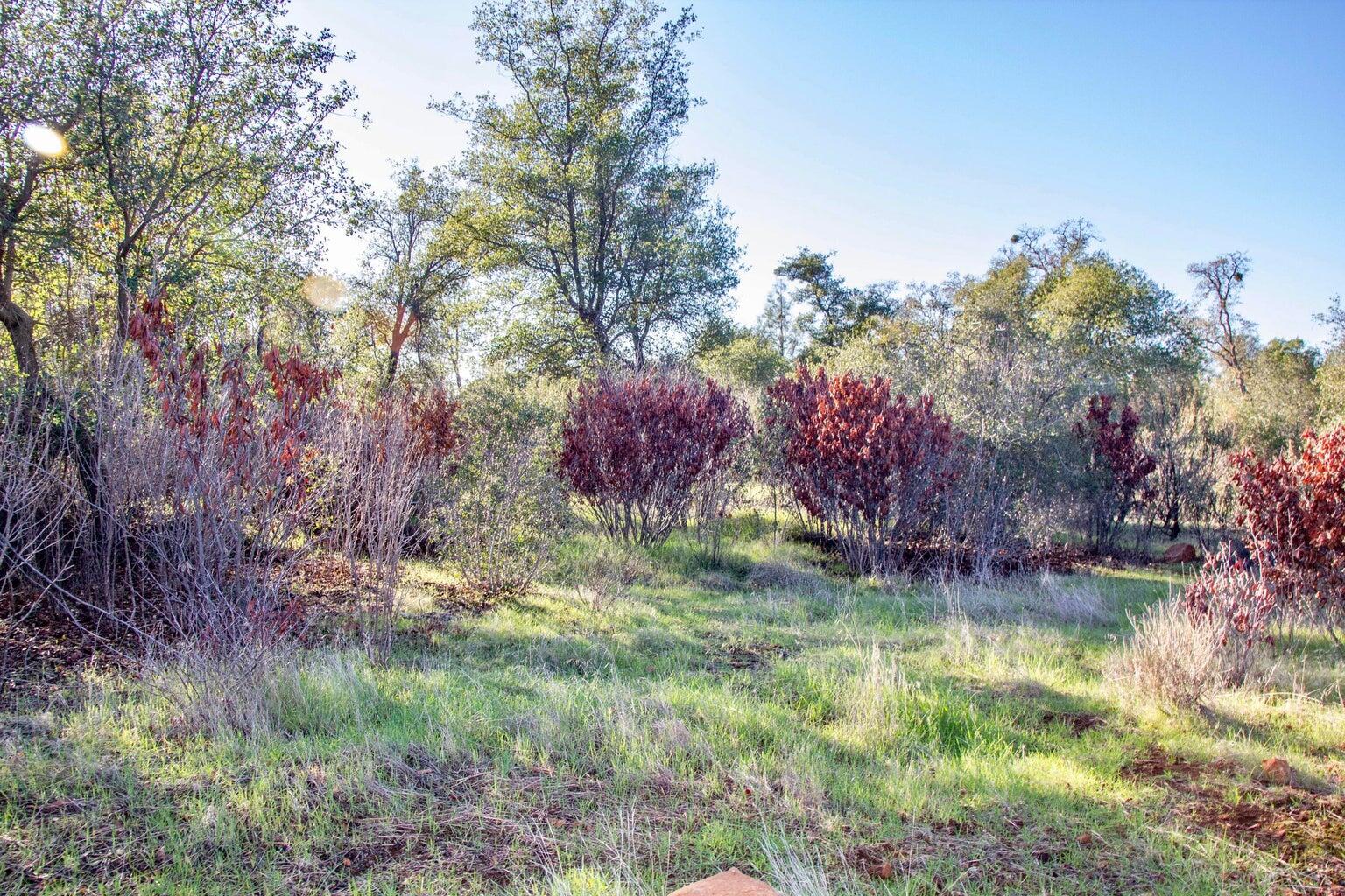 Land in Shingletown 4