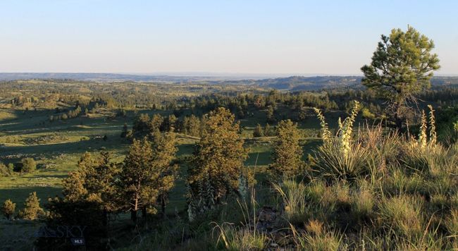 SC-28 - TBD Lone Rock Canyon Lane, Home with 0 bedrooms, 0 bathrooms and null parking in Hysham MT | Image 20