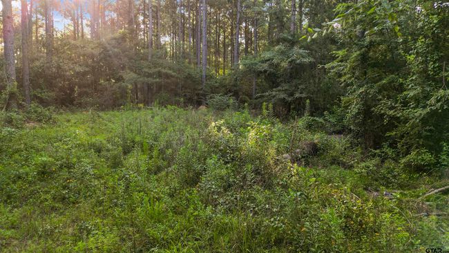 TBD 17.57 ACRES Fm 2274, Home with 1 bedrooms, 1 bathrooms and null parking in Troup TX | Image 23