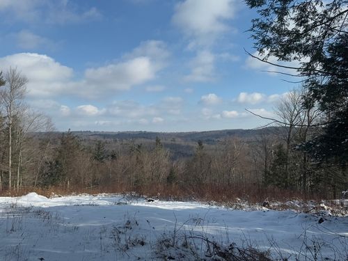0 Blair Rd, Blandford, MA, 01008 | Card Image