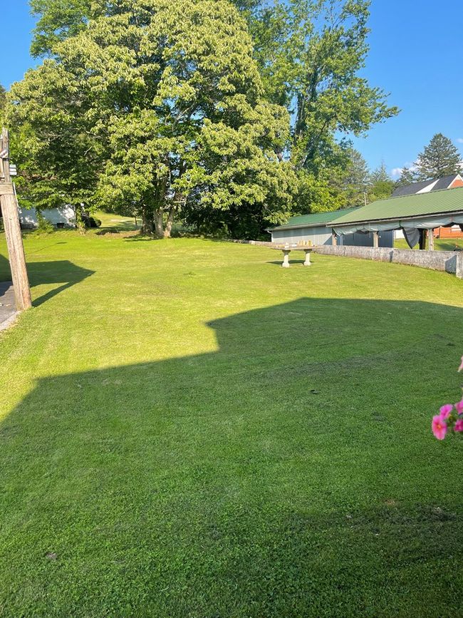 back yard | Image 7