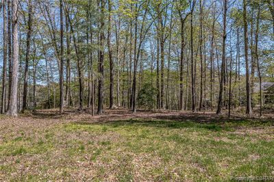 lot 197c Levering Lane, Home with 0 bedrooms, 0 bathrooms and null parking in Weems VA | Image 2