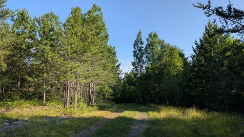 Lot A Hwy. 24, Orr, MN, 55771 | Card Image