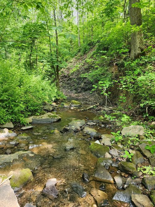 TBD Mt Zion Church Rd, East Bernstadt, KY, 40729 | Card Image