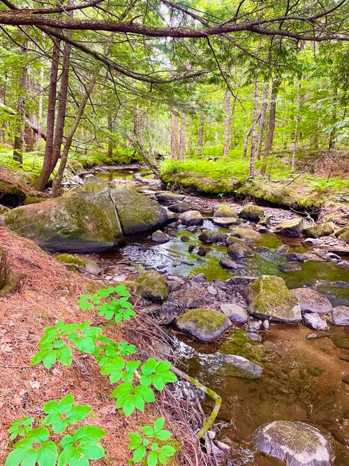PO M20 L25 Mill Rd, Embden, ME, 04958-3556 | Card Image