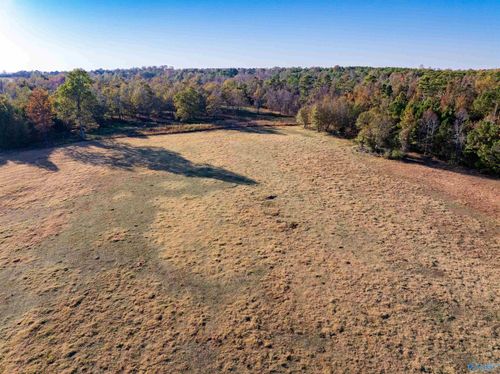 57 ACRE LOT County Road 44, Section, AL, 35771 | Card Image