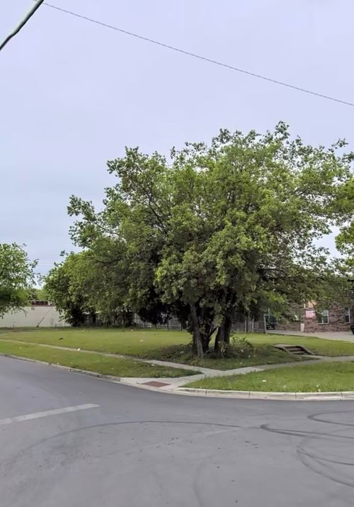2934 South Blvd, Dallas, TX, 75215-2344 | Card Image