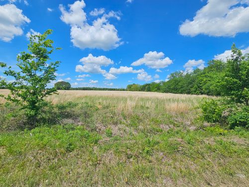 Lot 1 Cr 3609, Edgewood, TX, 75117 | Card Image