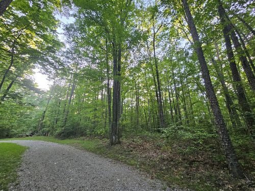 3 Woodfern Ln, Coalmont, TN, 37313 | Card Image