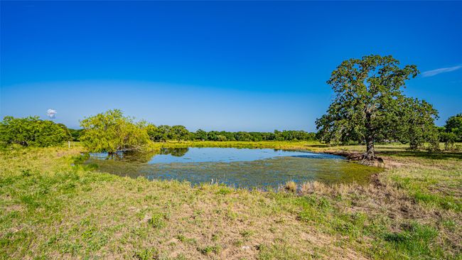 Stock Pond | Image 5
