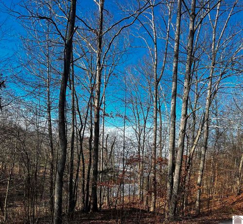 Lot 36 Canton Heights 2 Cir, Cadiz, KY, 42211-8867 | Card Image