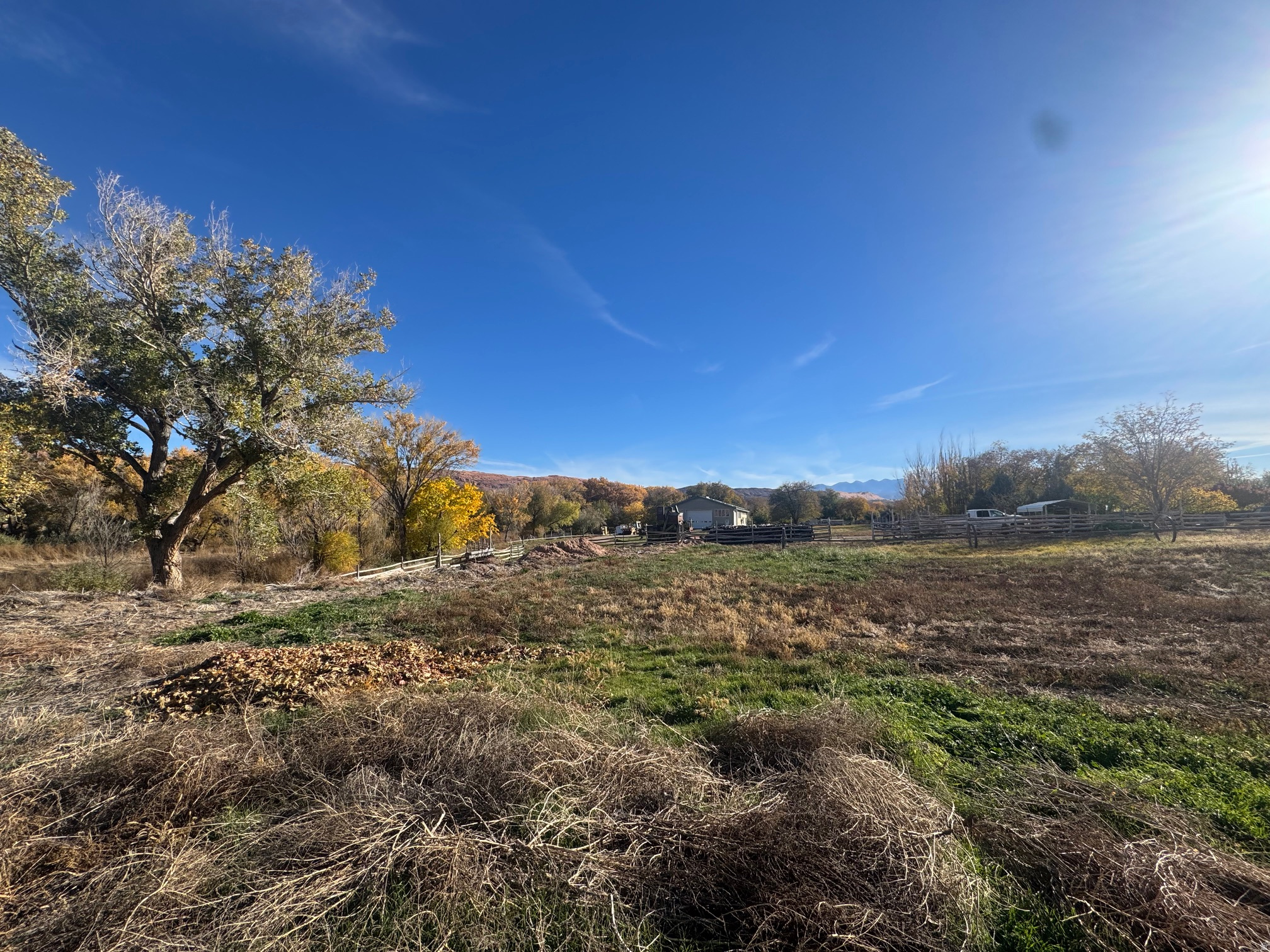 Land in Moab 3